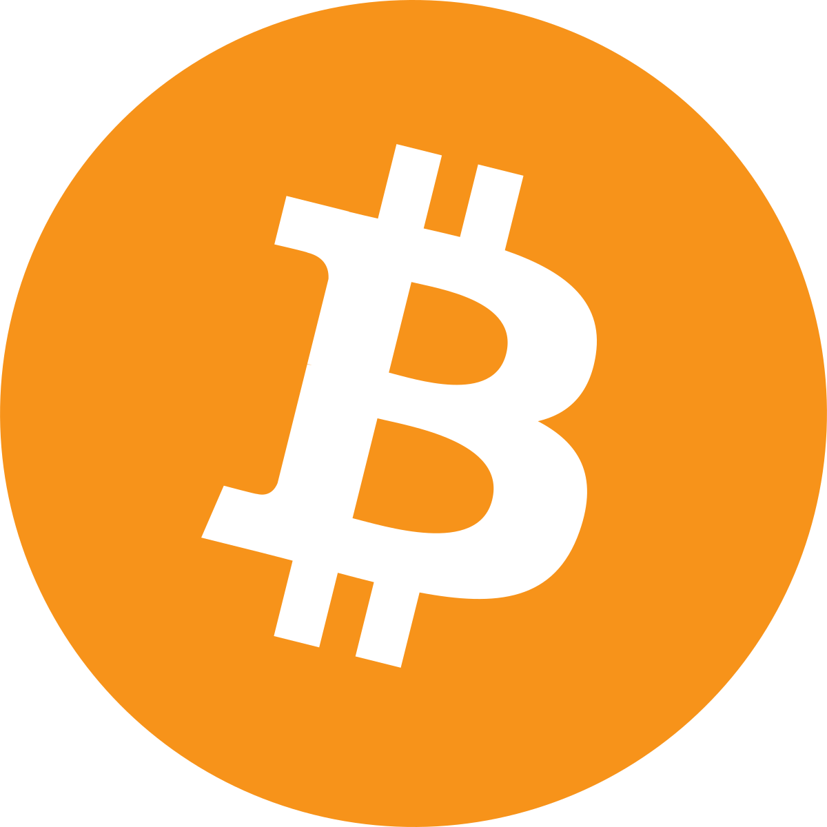 Website Icon